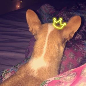 Meet your Posher, Aide